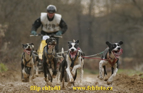 Bakonybel - 0377.JPG